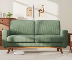 Sofá de Dos plazas de 68 Pulgadas